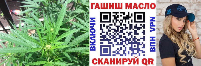 ОМГ ОМГ маркетплейс Северодвинск Дистиллят ТГК Wax