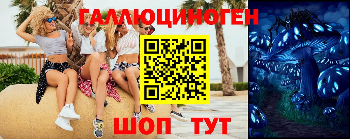 Северодвинск  Галлюциногенные грибы мицелий  Вход с VPN 